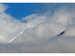 Christel Trica "Versteckt im Nebel"